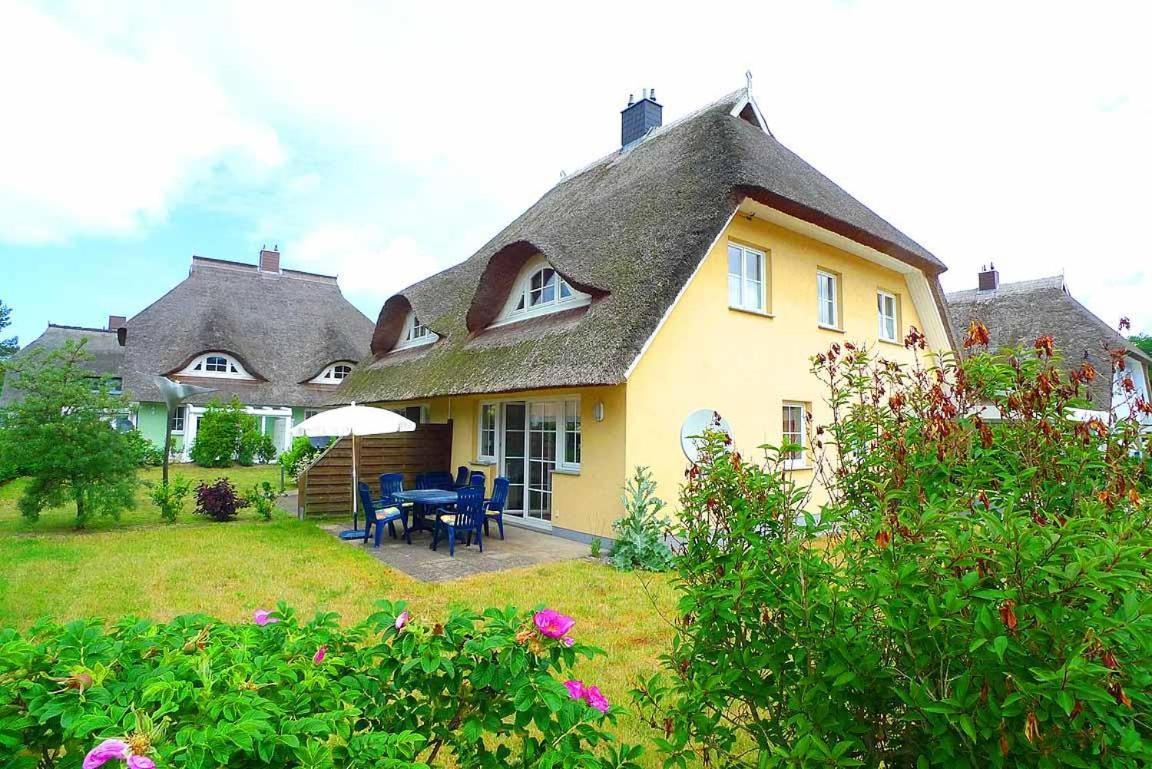 Ferienhaus An Der Alten Waldschaenke Ws-11A 博恩 外观 照片